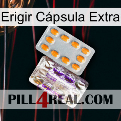 Erigir Cápsula Extra new12